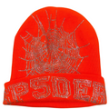 Sp5der Beanie